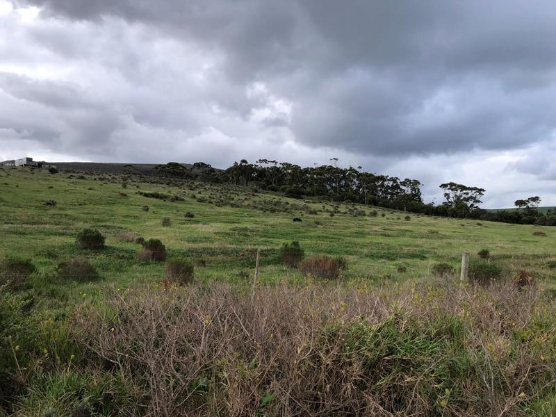 0 Bedroom Property for Sale in Baardskeerdersbos Western Cape